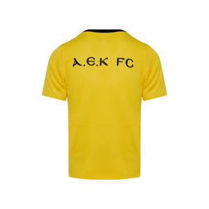 ΑΕΚ T-SHIRT TRAINING (Qfd7592-719), thumbnail 3