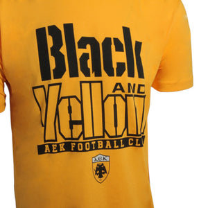 AEK t-shirt B&Y (Q25007-719), thumbnail 3