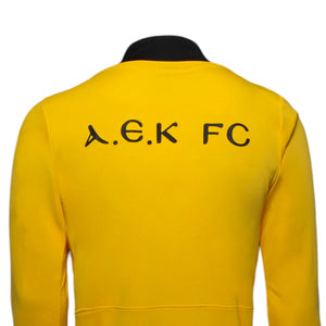 ΑΕΚ TRAINING ZIP (QFD7667-719), thumbnail 3